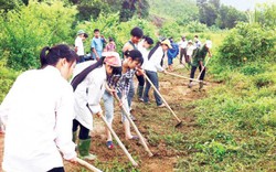 Nông thôn mới - động lực phát triển nông nghiệp