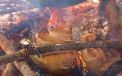 Nhộng ong rừng, thịt lợn đen nướng nhất định phải thử ở Mù Cang Chải