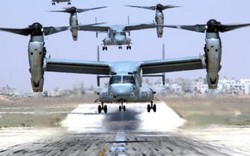 Mỹ- Nhật điều giàn máy bay MV-22 Osprey hùng hậu tập trận chung