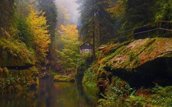 Ảnh: Những ngôi nhà đẹp như tranh vẽ trơ trọi giữa rừng sâu