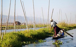 Chèo thuyền, gieo trồng và thu hoạch trên… hồ nước