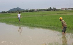 2 bé tiểu học chết đuối thương tâm sau lễ khai giảng