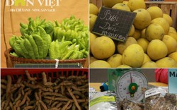 Danh sách 119 điểm bán nông sản an toàn, đặc sản Bắc Bộ tại Hà Nội