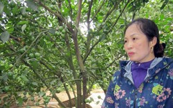 Nhờ cam, mua xe hơi dễ dàng