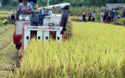 Nghệ An: Phát hiện thêm nhiều xã “ăn tiền" của chủ máy gặt