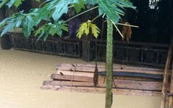 Nghệ An: Mưa liên tục, một huyện "chìm" trong biển nước