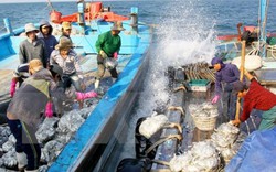 Ngư dân Việt gặp nạn được Trung Quốc cứu chữa sẽ về nước tối nay