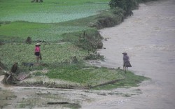 Mưa lũ ở Nghệ An: Tìm thấy 7 người mất tích, phát hiện 3 thi thể trôi sông