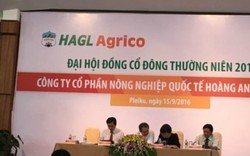 Bầu Đức sẽ bán 20.000 ha cao su cho đối tác Trung Quốc?