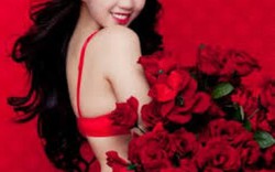 Ngọc Trinh sẽ tham dự Chung kết Hoa hậu Hàn Quốc?