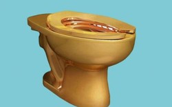 Mỹ: Lắp bồn cầu vàng nguyên khối trong toilet công cộng