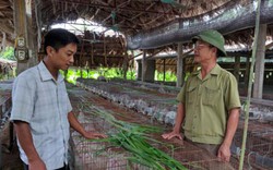 Bỏ trăm nghề, thỏa đam mê với thỏ