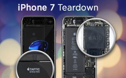 “Giải phẫu” Apple iPhone 7, hé lộ bí mật về chip A10