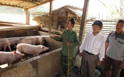 Làm ăn hiệu quả, trả nợ dễ dàng