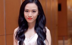 Hoa hậu Trương Hồ Phương Nga lừa hơn 16 tỷ của đại gia như thế nào?