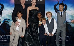 Lờ tài sản kếch xù, Brad Pitt và Angelina Jolie chỉ tranh giành con