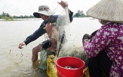 Mưu sinh mùa lũ cạn nơi đầu nguồn sông Cửu Long