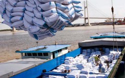 Trung Quốc cấp phép cho 8 công ty khử trùng gạo xuất khẩu