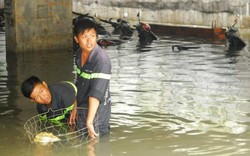 Cơn mưa lịch sử ở TP.HCM gây thiệt hại hàng trăm tỷ đồng