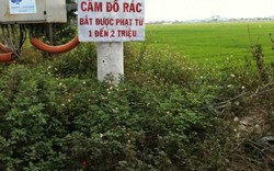 Dẹp nạn "rác tặc" bằng hoa