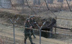 Binh sĩ Triều Tiên vượt bãi mìn, hàng rào thép gai trốn sang Hàn Quốc