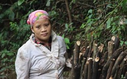 Vụ phá rừng xây thủy điện mini: “Bom” nước treo trên đầu dân (!?)