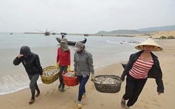 Ứng trước 3.000 tỷ đồng bồi thường cho ngư dân 4 tỉnh miền Trung