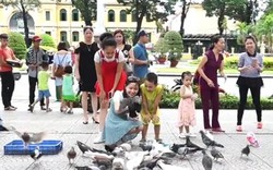 Đàn chim bồ câu nhuộm màu ở trung tâm Sài Gòn