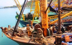 Vụ tàu 67: Giám đốc Công ty Đại Nguyên Dương nổi nóng với ngư dân