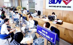 BIDV giảm lãi suất cho vay ngắn hạn xuống còn 6,5%