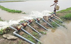 Trạm bơm tiền tỷ thành chuồng vịt, hàng trăm ha lúa "chết chìm"