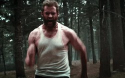 Hugh Jackman: Người Sói chắc chắn sẽ trở lại, nhưng...