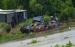 20 người tranh mua đường lậu ở Long An