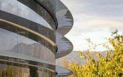 Video: Trụ sở Apple Park đẹp như mơ sắp hoàn thiện