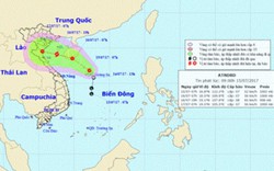 Áp thấp sắp vào Hải Phòng – Nghệ An, Ban Chỉ đạo thiên tai họp khẩn