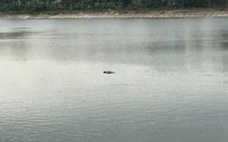 Hà Nội: Phát hiện thi thể nổi lợp lờ trên hồ Linh Đàm