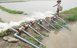 Hà Nội: 2.000ha lúa, hoa màu ngập nặng, báo động hồ Quan Sơn