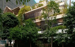 “Biệt thự xanh” tuyệt đẹp ở Hà Nội xuất hiện ấn tượng trên báo Mỹ
