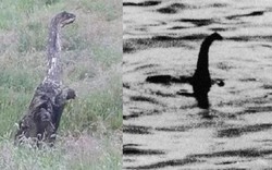 Phát hiện quái vật hồ Loch Ness cách "nhà" 200km?