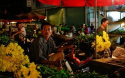 Đêm không ngủ ở chợ hoa lớn nhất Hà Nội