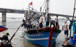 Quảng Trị: Khổ vì cửa biển bị bồi lấp, ngư dân tranh chỗ neo tàu