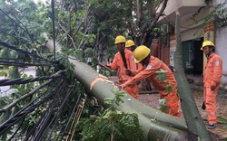 Hà Tĩnh, Thanh Hóa: 100% người dân được cấp lại điện sau bão Talas.