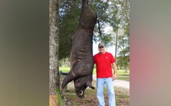 Mỹ: Bắn gục lợn lòi khổng lồ gần 4 tạ trong vườn nhà
