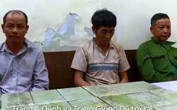 Bắt nghi phạm người Lào thủ súng vận chuyển 28 bánh heroin