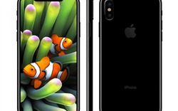 iPhone 8 và 8 tính năng được kỳ vọng nhất hiện nay