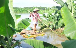 Những hình ảnh không thể tưởng tượng ở "xóm ngụ cư" Hà Nội mùa lũ