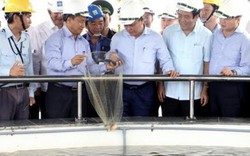 Thủ tướng kiểm tra việc đảm bảo môi trường tại Formosa Hà Tĩnh
