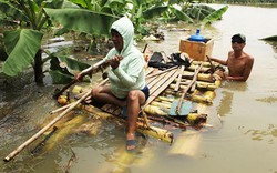 Người dân đóng bè chuối vượt sông Hồng giữa Thủ đô Hà Nội