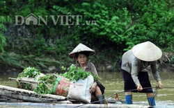 Điện Biên: Giữa mùa lũ, dân liều mình vượt suối nhờ dây thép mỏng