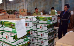 Công ty Thuận Phong thừa nhận các vi phạm trong sản xuất phân bón